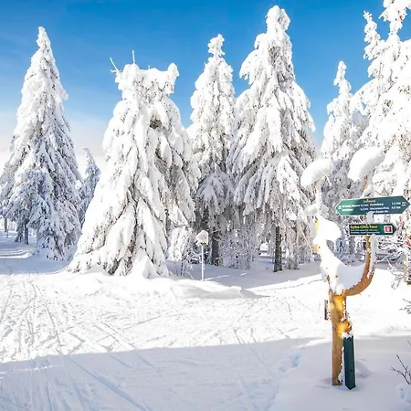 Gasthuis Weisser Hirsch *