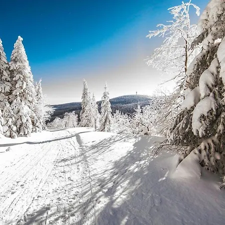 Gæstehus Weisser Hirsch *