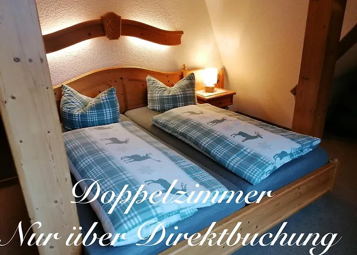 Pensionat Weisser Hirsch Schwarzenberg (Saxony)