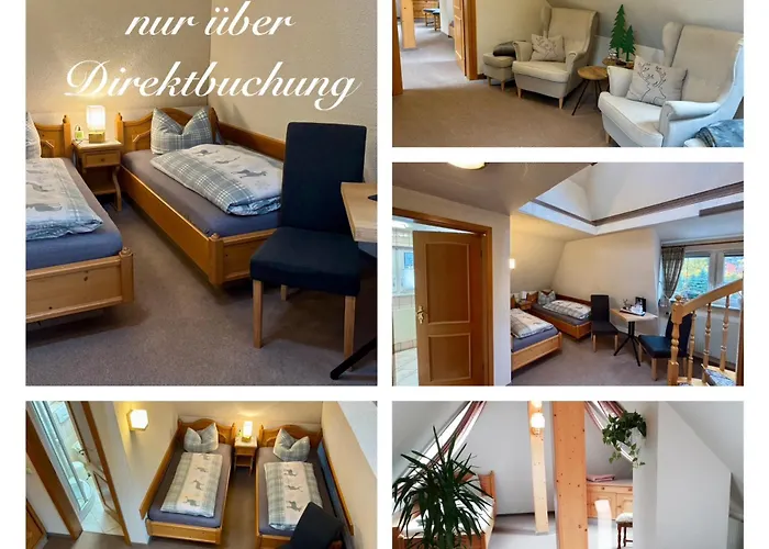 Weisser Hirsch Pensionat Schwarzenberg (Saxony)