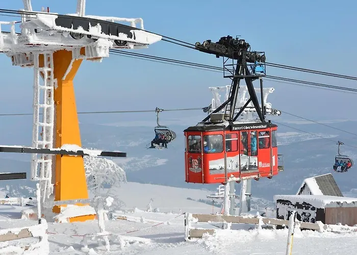 Weisser Hirsch * Schwarzenberg (Saxony)