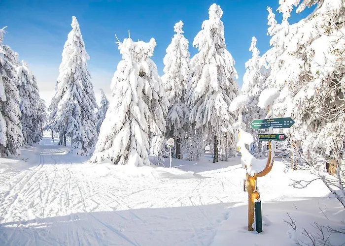 Pensionat Weisser Hirsch *