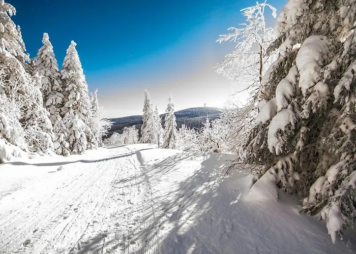 Pensionat Weisser Hirsch *